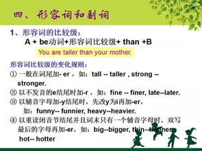 英语初中安全知识