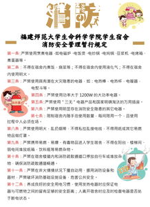 学校安全知识报告内容