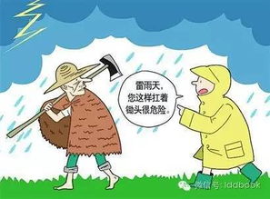 防雷雨安全知识动画片