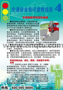 知识交通安全大全图