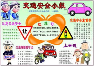 交通安全知识有()体会