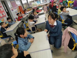 用电安全知识进校园活动报道