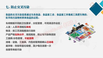 食品企业安全知识培训
