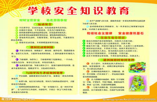 学校开展安全交通知识教育信息