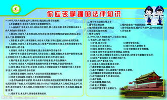中学生法律与安全知识