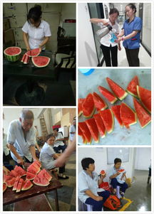 夏天保洁员安全知识