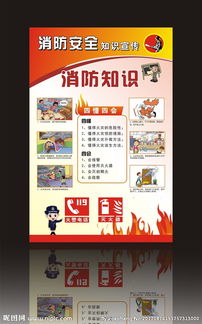 安全知识中有哪四懂