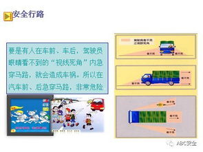 交通安全知识培训内容