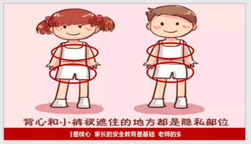 幼儿园防性侵安全知识感想