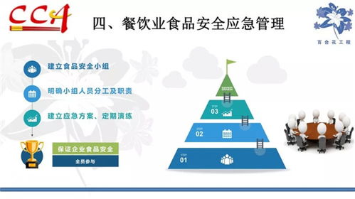 食品安全管理基础知识