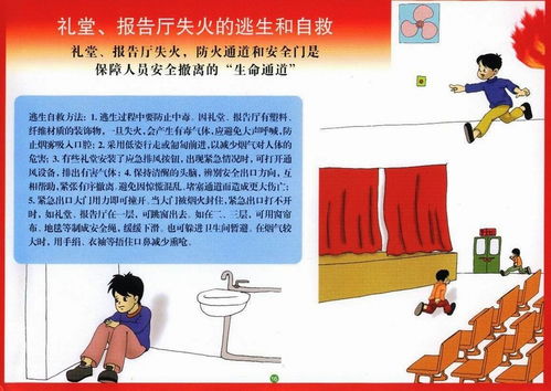 学生安全自救知识调查报告