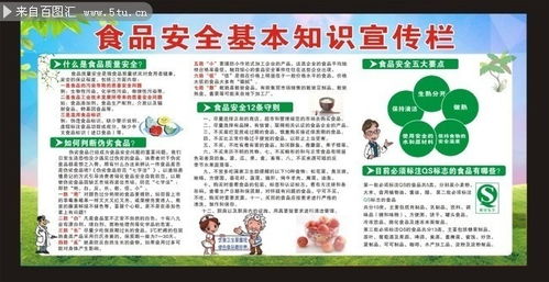 食品安全的基础知识