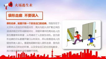 安全知识竞赛心得体会ppt