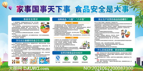 学校食品安全知识宣传总结