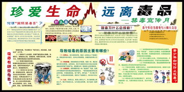 禁毒宣传安全知识