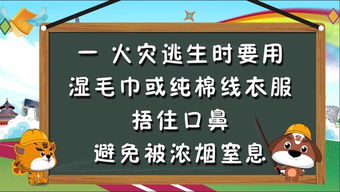 观看安全知识影片工作会报