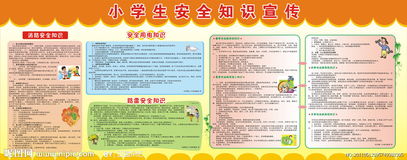 小学期末安全知识简报