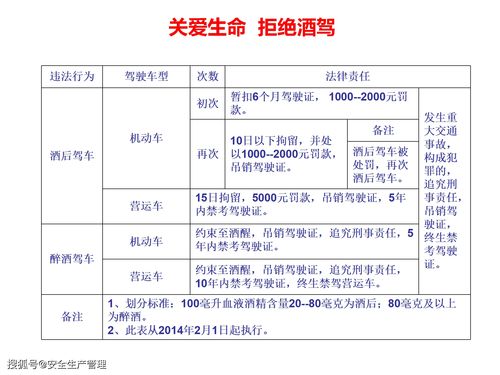 备案驾驶员交通安全知识
