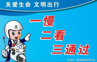 掌握交通安全知识