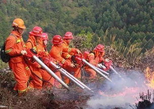 炼山用火安全知识