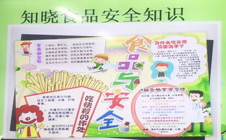 大学生食品安全知识知晓率