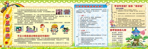 大班育儿知识安全乘车