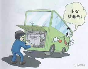 公司汽车驾驶员安全知识