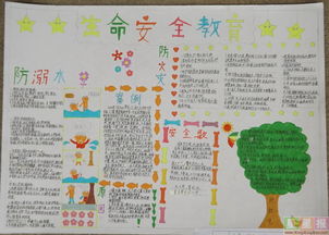 安全教育知识的手抄报内容摘要