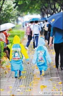小学雨天交通安全知识