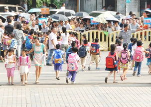 上学和放学路上安全教育知识