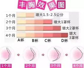 乳房安全知识