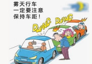 雾霾天气安全行车知识