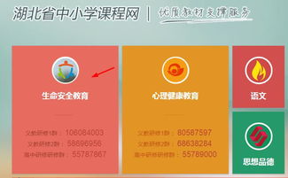湖北省小学生生命安全知识