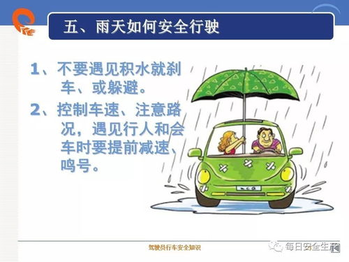 交通驾驶安全知识