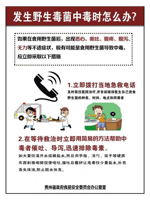 食品安全知识食用野生菌