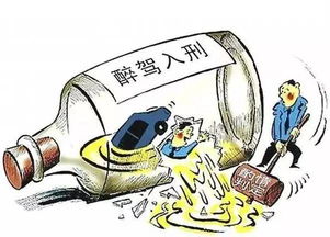 关于醉驾道路交通安全法知识