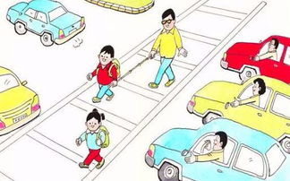 交警安全小知识