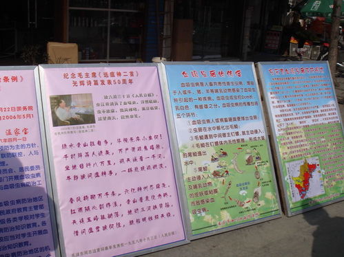 血防安全知识征文
