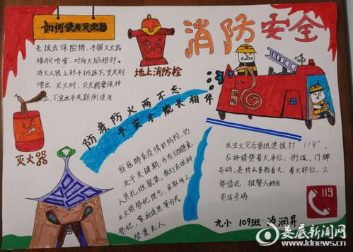 安全宣传教育知识手抄报内容有哪些内容
