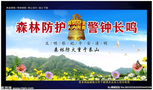 小学生清明森林防火安全知识总结
