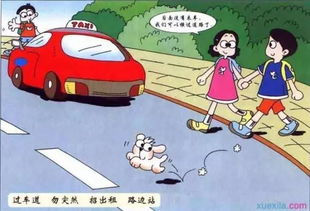 交通安全骑车安全知识