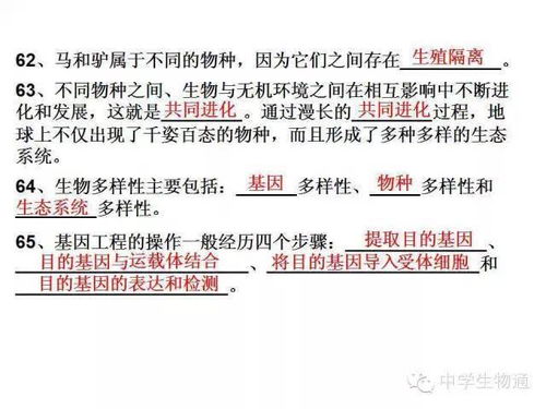 轧钢安全基础知识三个确认是什么
