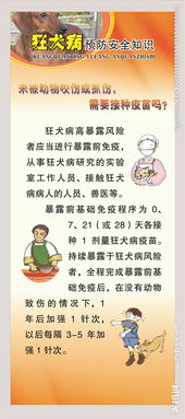 狂犬安全知识