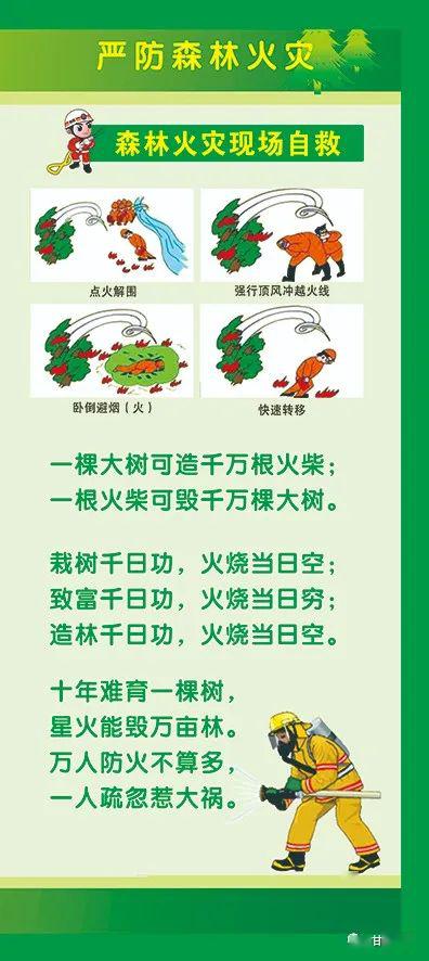 森林防火安全知识考试