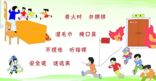 幼儿安全户外活动知识
