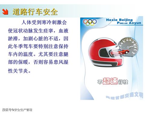 免费司机交通安全知识