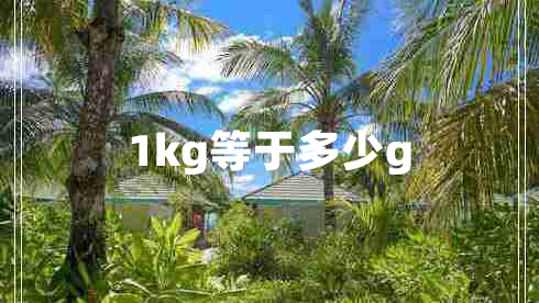 1kg等于多少g