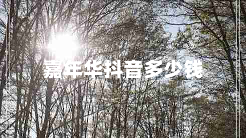 嘉年华抖音多少钱