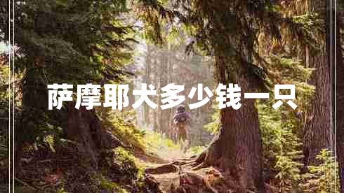 萨摩耶犬多少钱一只
