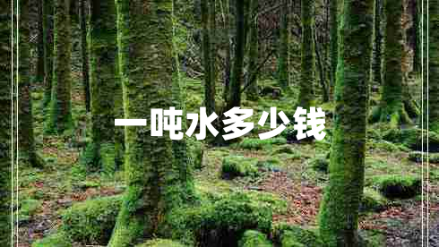 一吨水多少钱